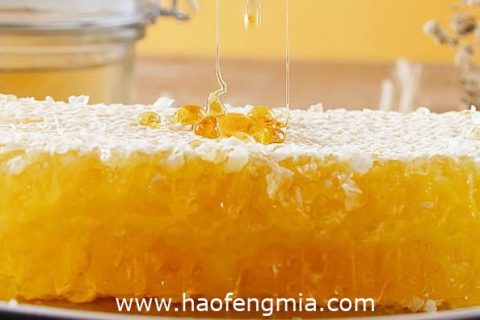 四大名蜜是哪几种