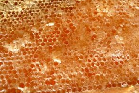 蜂蜜掺假原因之果糖葡萄糖含量标注不清
