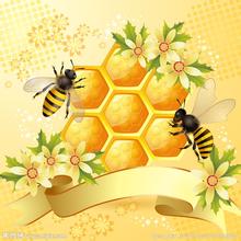 蜂蜜食用方法