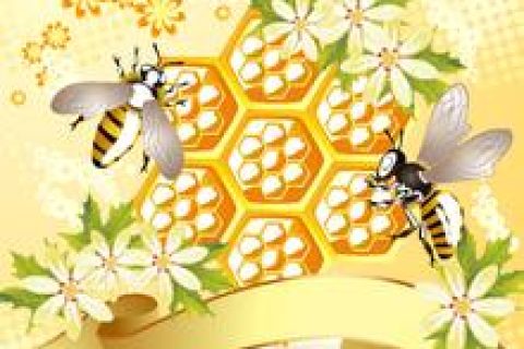 什么是蜂产品制品？蜂产品之蜂产品制品介绍